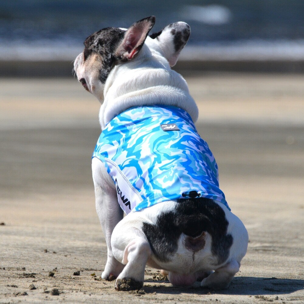 [}C]529 GW ANeBu TVF[h ^Ngbv/WEH[NiGEWALKj sN