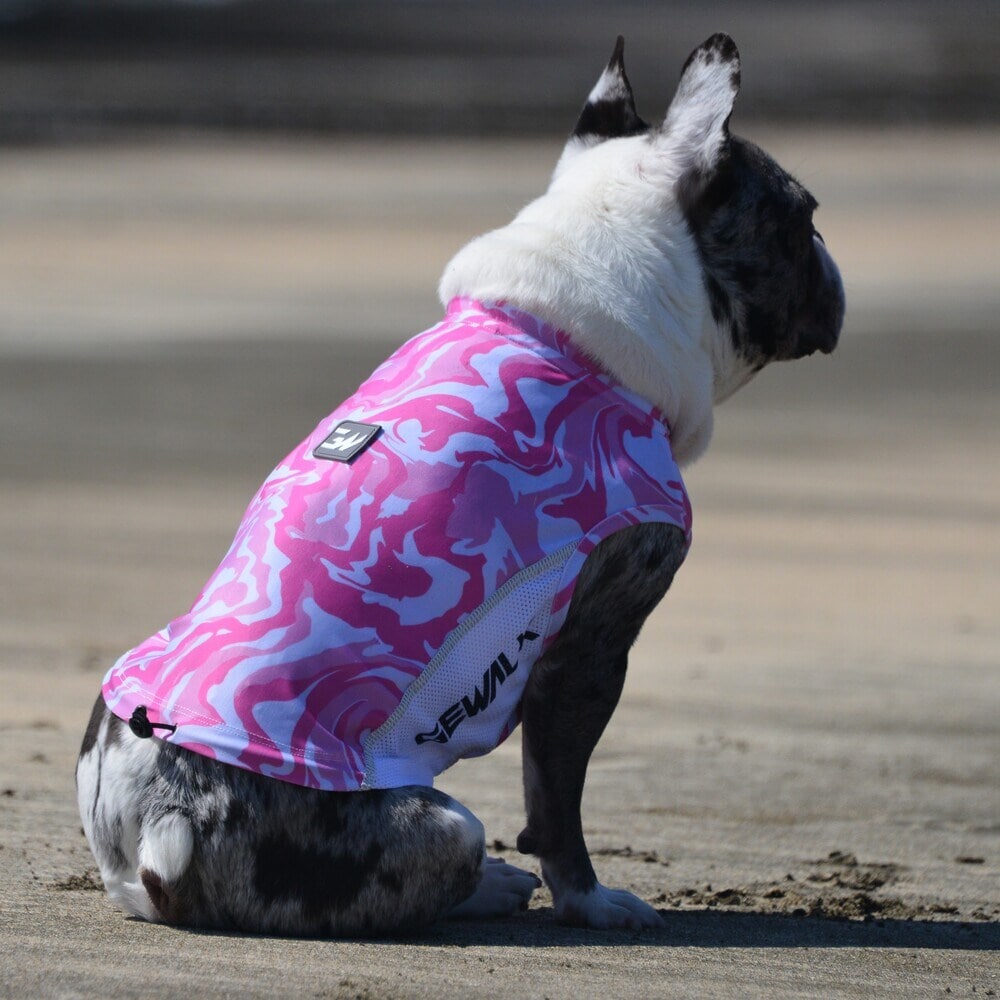 [}C]529 GW ANeBu TVF[h ^Ngbv/WEH[NiGEWALKj u[