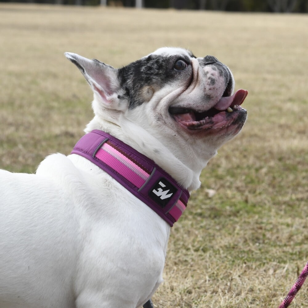 [}C]GW n[t `[N J[ GR /WEH[NiGEWALKj p[v