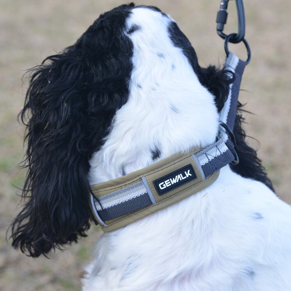 [}C]GW n[t `[N J[ GR /WEH[NiGEWALKj x[W