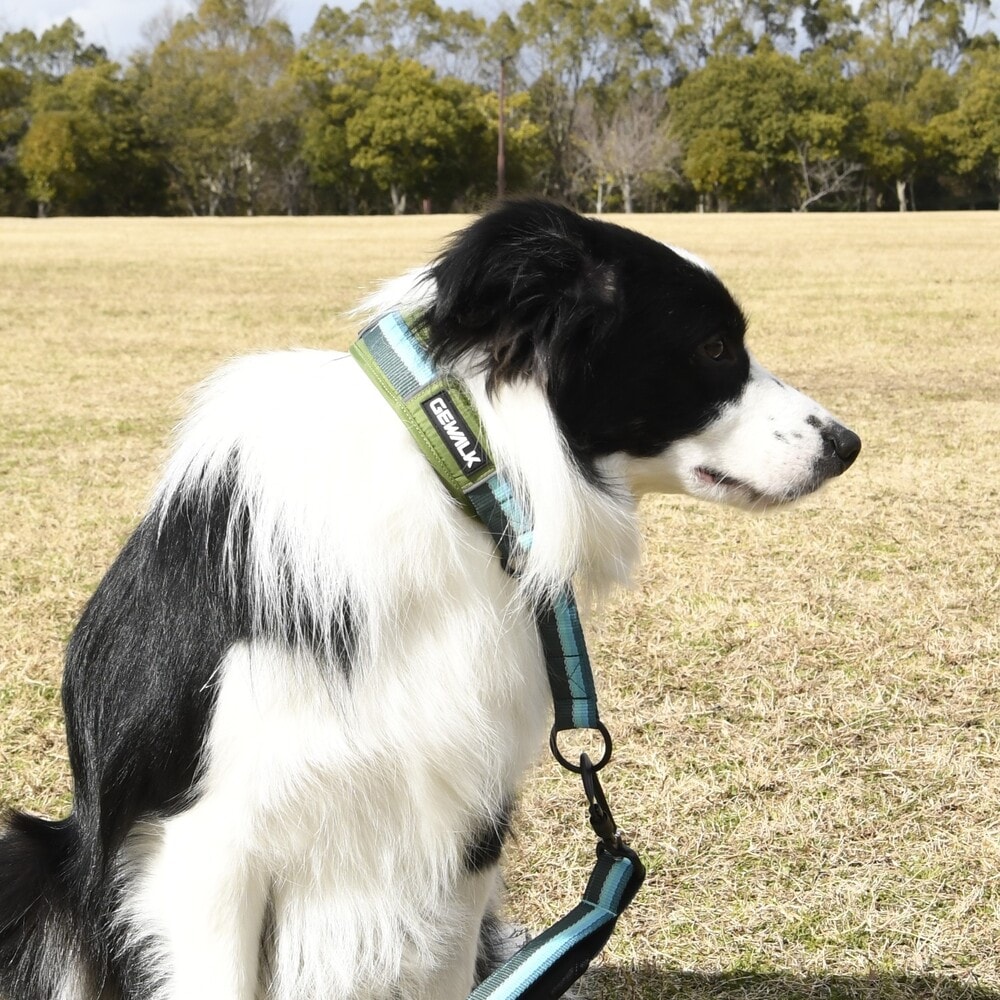 [}C]GW n[t `[N J[ GR /WEH[NiGEWALKj O[