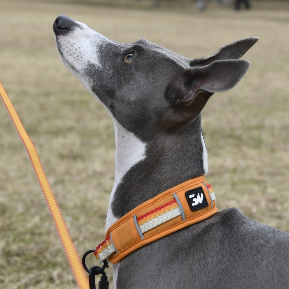 [}C]GW n[t `[N J[ GR /WEH[NiGEWALKj IW