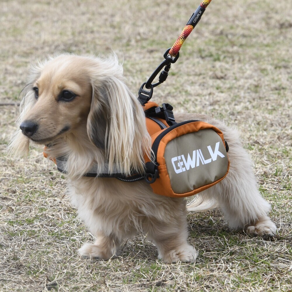 [}C]GW Th obO GR/WEH[NiGEWALKj IW