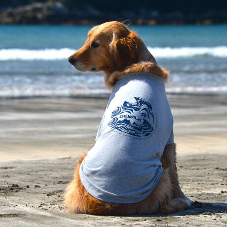 [^:LGE530-4200]RbgPOOOtBbNsVcBZ߂œ₷EȒPȃx[VbNfłBOɂ̓Ső̂ɃtBbgI͂̎Aql܂ł̖LxȃTCYoG[VłBƑ݂ȂR[fł݂Ƃ̂ȂiFAꏏɒTɍsI΋Cɋ߂ÂAɂȂꏊɕۊǂȂŉB@E@͔AK􂢁ERĉB܂gpĐ􂤍ۂɂ͒܂gpAY܂̎gp͔ĉBFF肷鋰ꂪ܂̂ő̕ƈꏏɐ킸AKPi􂢂ĉBԐɐZĂƐF鋰ꂪ܂B^u[͏kދꂪ܂̂łBvgE}[N̂ݐ􂢂ƃAC͂BgppxɂjAiꍇ܂Bjꂽۂɂ́ǍɂȂ܂̂ŁAɎgp𒆎~ĉBݍ񂾏ꍇɂ͂ɎoAbtɂkB