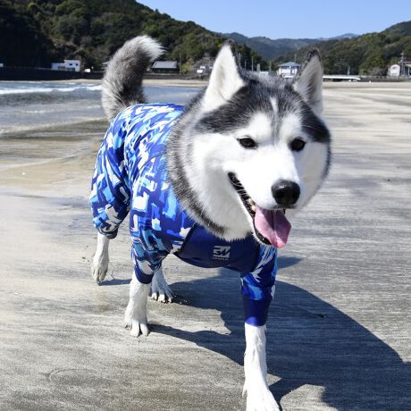 [^:LGE531-5500]Ă͗A~͂@\I[V[YfłBEFAŜɝH{ĂADȂǂ̉ꂩ爤veNgIuSv`xX[p[Xgb`{tbgV[}Dv̗pADڂŃSȂSnƔQ̃tBbgɂ蓮₷܂B܂AOՕtoeTO{A[ꎞł莋FłXgb`}`tN^[ɂSǋITCY w(cm) (cm) (cm)wr 23 32`36 20`24r 27 35`39 22`26Qr 29 36`40 22`26l 31 40`44 24`28Ql 31 44`48 26`30Rl 35 46`50 27`31k 38 50`54 29`33Qk 41 54`58 31`35Rk 43 58`62 33`37Sk 46 62`66 35`39Tk 49 67`71 38`42wk 55 71`75 38`42Qwk 58 79`83 43`47Rwk 61 87`91 48`52Swk 66 89`93 52`56Twk 70 92`96 57`61cr 31 36`40 23`27cl 35 40`44 26`30ar 29 48`53 33`37al 31 53`58 36`40ak 33 55`60 39`43bfr 42 48`53 32`36bfl 47 53`58 35`39bfk 52 58`63 38`42gr 34 38`41 18`22grl 35.5 41`44 20`24gl 37 44`47 21`25gk 40 47`50 23`27