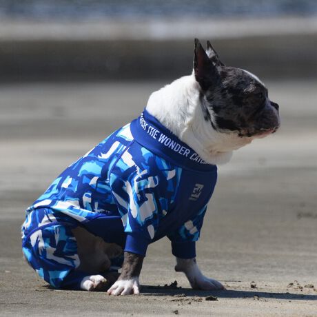 [^:LGE531-4000DB]Ă͗A~͂@\I[V[YfłBEFAŜɝH{ĂADȂǂ̉ꂩ爤veNgIuSv`xX[p[Xgb`{tbgV[}Dv̗pADڂŃSȂSnƔQ̃tBbgɂ蓮₷܂B܂AOՕtoeTO{A[ꎞł莋FłXgb`}`tN^[ɂSǋITCY w(cm) (cm) (cm)wr 23 32`36 20`24r 27 35`39 22`26Qr 29 36`40 22`26l 31 40`44 24`28Ql 31 44`48 26`30Rl 35 46`50 27`31k 38 50`54 29`33Qk 41 54`58 31`35Rk 43 58`62 33`37Sk 46 62`66 35`39Tk 49 67`71 38`42wk 55 71`75 38`42Qwk 58 79`83 43`47Rwk 61 87`91 48`52Swk 66 89`93 52`56Twk 70 92`96 57`61cr 31 36`40 23`27cl 35 40`44 26`30ar 29 48`53 33`37al 31 53`58 36`40ak 33 55`60 39`43bfr 42 48`53 32`36bfl 47 53`58 35`39bfk 52 58`63 38`42gr 34 38`41 18`22grl 35.5 41`44 20`24gl 37 44`47 21`25gk 40 47`50 23`27