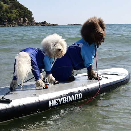 [^:LGE532-6000]Ă͗A~͂@\I[V[YfłBEFAŜɝH{ĂADȂǂ̉ꂩ爤veNgIuSv`xX[p[Xgb`{tbgV[}Dv̗pADڂŃSȂSnƔQ̃tBbgɂ蓮₷܂B܂AOՕtoeTO{A[ꎞł莋FłXgb`}`tN^[ɂSǋITCY w(cm) (cm) (cm)wr 23 32`36 20`24r 27 35`39 22`26Qr 29 36`40 22`26l 31 40`44 24`28Ql 31 44`48 26`30Rl 35 46`50 27`31k 38 50`54 29`33Qk 41 54`58 31`35Rk 43 58`62 33`37Sk 46 62`66 35`39Tk 49 67`71 38`42wk 55 71`75 38`42Qwk 58 79`83 43`47Rwk 61 87`91 48`52Swk 66 89`93 52`56Twk 70 92`96 57`61cr 31 36`40 23`27cl 35 40`44 26`30ar 29 48`53 33`37al 31 53`58 36`40ak 33 55`60 39`43bfr 42 48`53 32`36bfl 47 53`58 35`39bfk 52 58`63 38`42gr 34 38`41 18`22grl 35.5 41`44 20`24gl 37 44`47 21`25gk 40 47`50 23`27