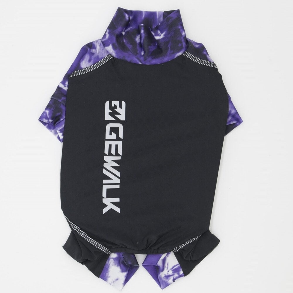[}C]533 }CiX t[WO p[X bVK[h C R/WEH[NiGEWALKj p[v