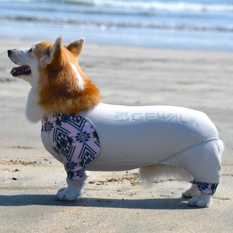 [^:LGE534-4100CG]⊴hiꃁg[jƋzM⊴iAR[ނȂǗʂɓ⊴vgHAuSv`xXgb`{tbgV[}Dv̗pADڂŃSȂSnƔQ̃tBbgɂ蓮₷܂B܂AOՕtoeTO{A[ꎞł莋FłXgb`}`tN^[ɂSǋITCY w(cm) (cm) (cm)wr 23 32`36 20`24r 27 35`39 22`26Qr 29 36`40 22`26l 31 40`44 24`28Ql 31 44`48 26`30Rl 35 46`50 27`31k 38 50`54 29`33Qk 41 54`58 31`35Rk 43 58`62 33`37Sk 46 62`66 35`39Tk 49 67`71 38`42wk 55 71`75 38`42Qwk 58 79`83 43`47Rwk 61 87`91 48`52Swk 66 89`93 52`56Twk 70 92`96 57`61cr 31 36`40 23`27cl 35 40`44 26`30ar 29 48`53 33`37al 31 53`58 36`40ak 33 55`60 39`43bfr 42 48`53 32`36bfl 47 53`58 35`39bfk 52 58`63 38`42gr 34 38`41 18`22grl 35.5 41`44 20`24gl 37 44`47 21`25gk 40 47`50 23`27