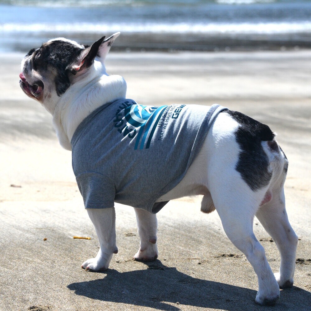 [}C]OtBbN eB[Vc S TVc /WEH[NiGEWALKj ۃO[