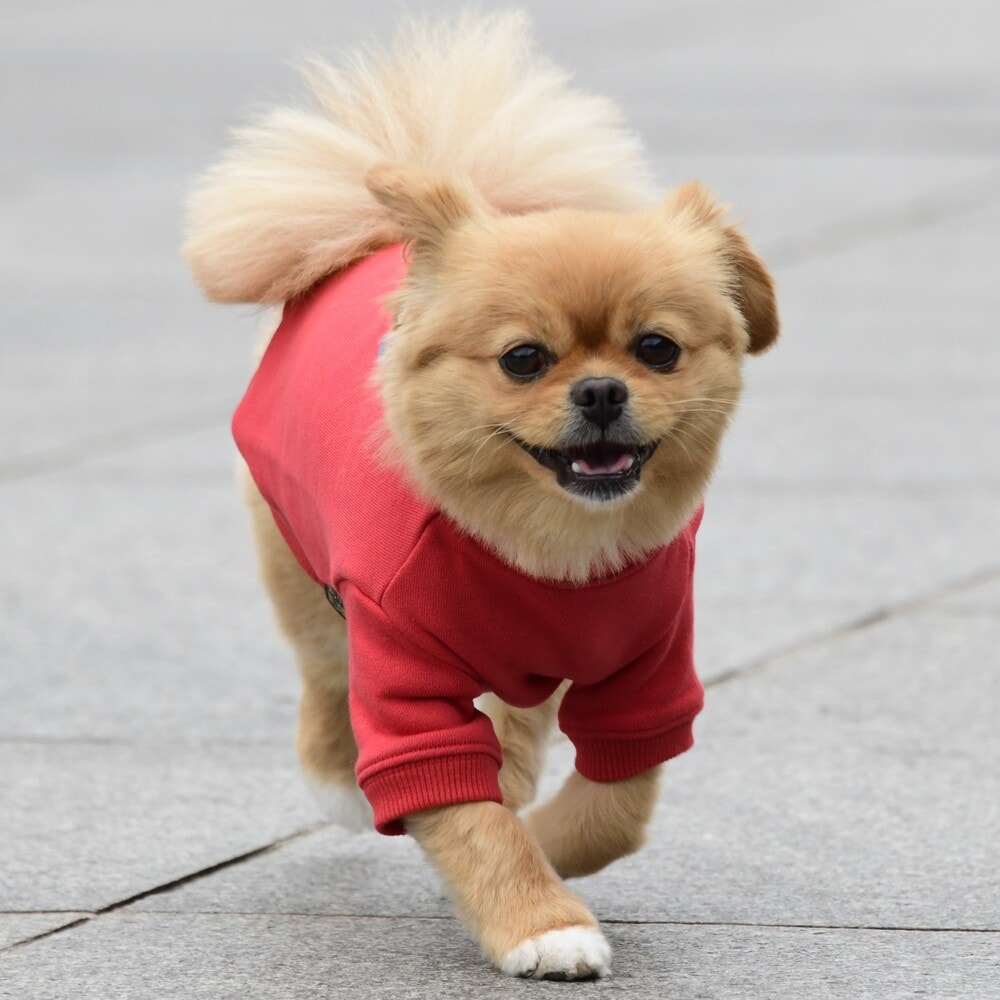 [}C]x[VbNN[lbNXEFbg/}nb^ EH[L[ ^CIiMANHATTAN WALKY TIMEIj bh