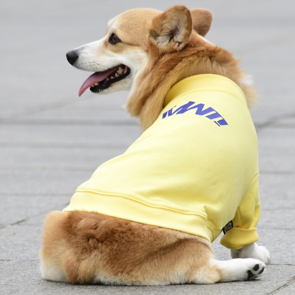 [}C]x[VbNN[lbNXEFbg/}nb^ EH[L[ ^CIiMANHATTAN WALKY TIMEIj CG[