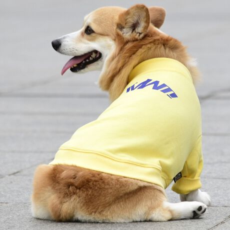 [^:LFW237-3500]ND]̃XEFbgg[i[łB͂lvsȊ傫ȃS葶݊QBh肾ǂǂȌɂJ[IłB΋Cɋ߂ÂAɂȂꏊɕۊǂȂŉB@E@͔AK􂢁ERĉB܂gpĐ􂤍ۂɂ͒܂gpAY܂̎gp͔ĉBFF肷鋰ꂪ܂̂ő̕ƈꏏɐ킸AKPi􂢂ĉBԐɐZĂƐF鋰ꂪ܂B^u[͏kދꂪ܂̂łBvgE}[N̂ݐ􂢂ƃAC͂BgppxɂjAiꍇ܂Bjꂽۂɂ́ǍɂȂ܂̂ŁAɎgp𒆎~ĉBݍ񂾏ꍇɂ͂ɎoAbtɂkB