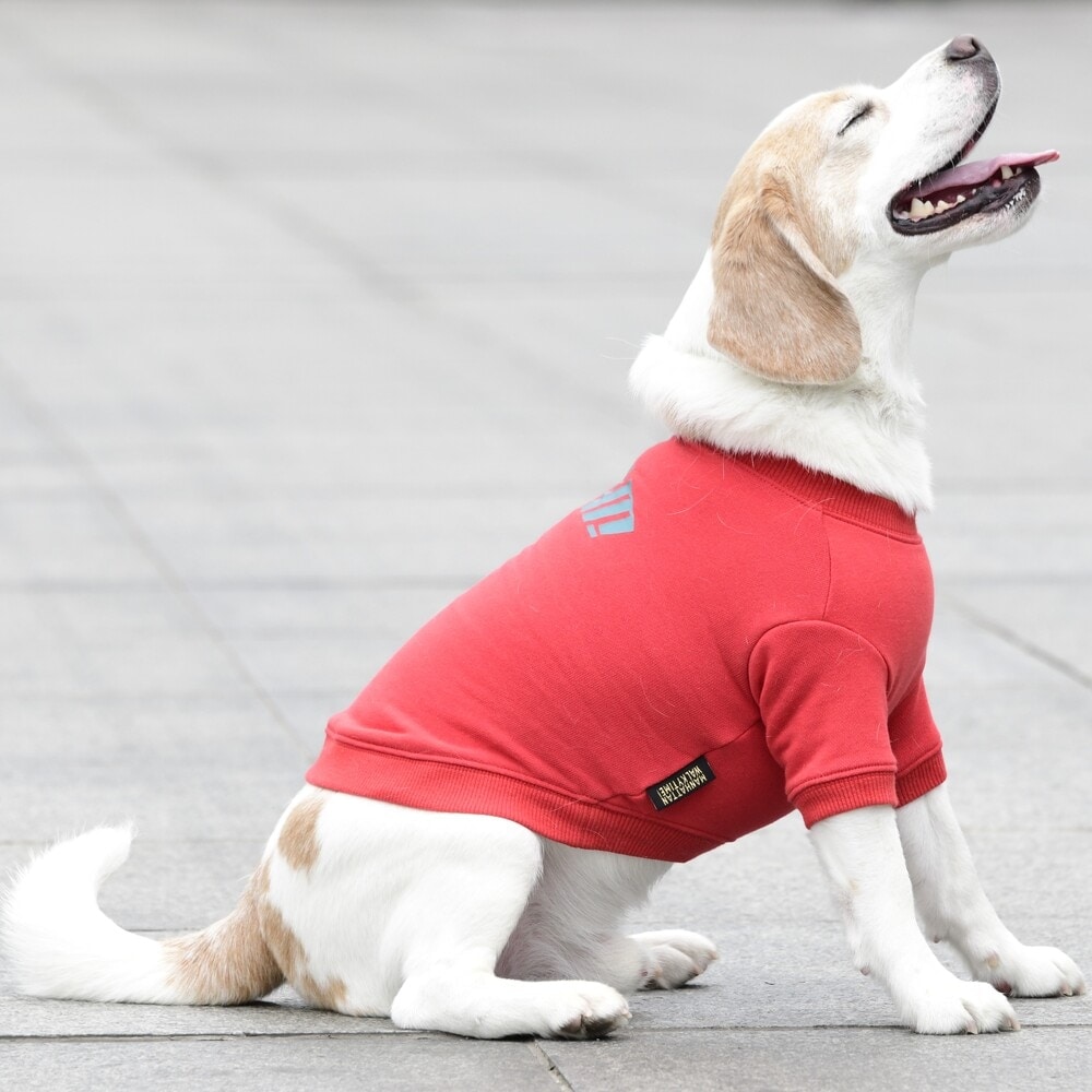 [}C]x[VbNN[lbNXEFbg/}nb^ EH[L[ ^CIiMANHATTAN WALKY TIMEIj bh