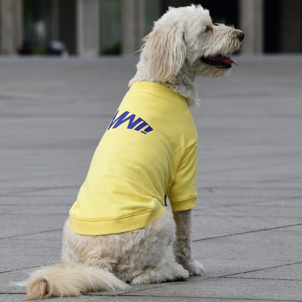 [}C]x[VbNN[lbNXEFbg/}nb^ EH[L[ ^CIiMANHATTAN WALKY TIMEIj CG[