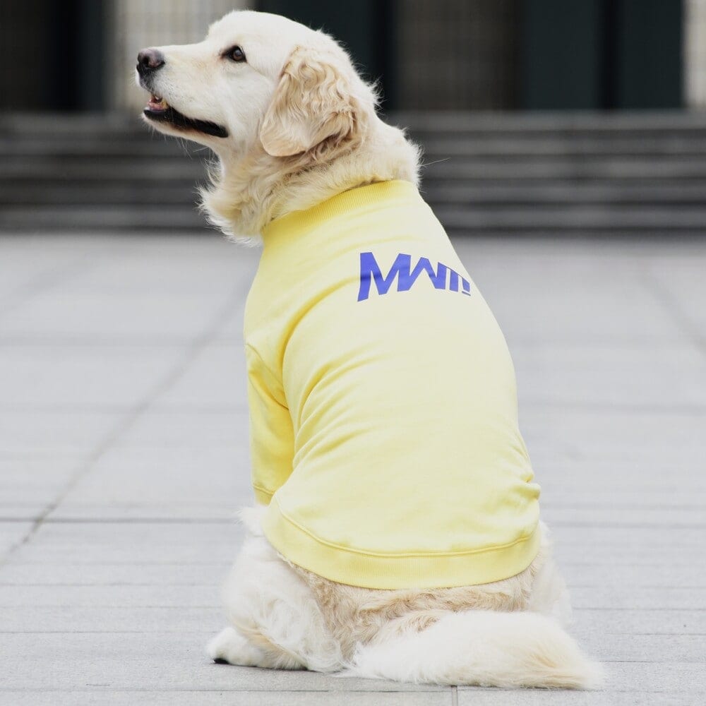 [}C]x[VbNN[lbNXEFbg/}nb^ EH[L[ ^CIiMANHATTAN WALKY TIMEIj CG[