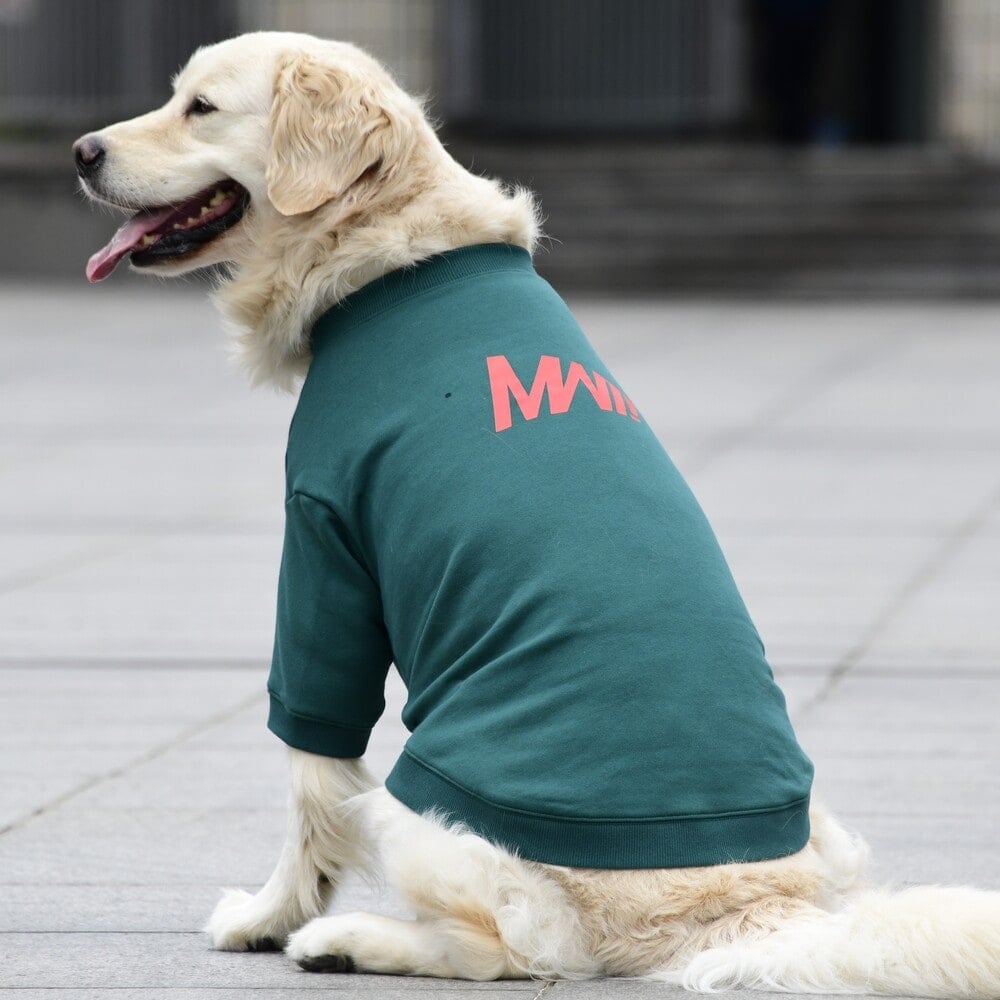 [}C]x[VbNN[lbNXEFbg/}nb^ EH[L[ ^CIiMANHATTAN WALKY TIMEIj O[