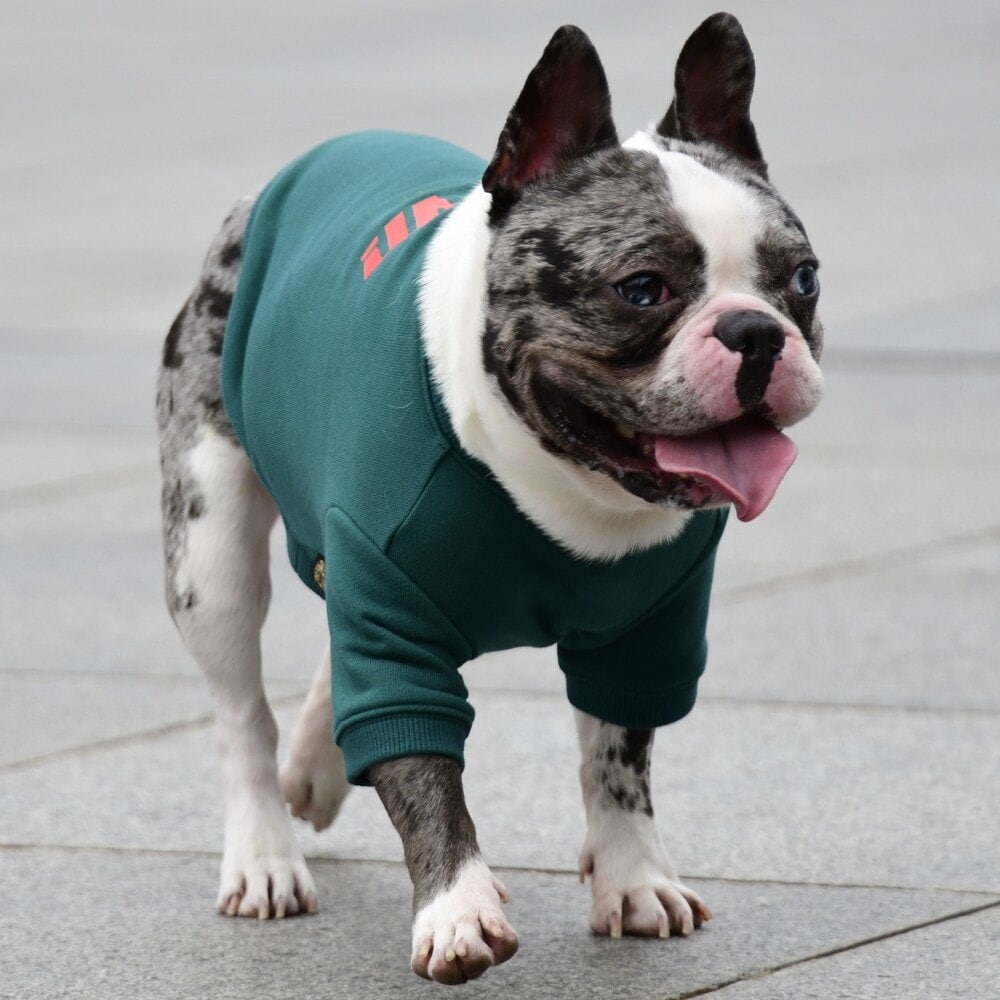 [}C]x[VbNN[lbNXEFbg/}nb^ EH[L[ ^CIiMANHATTAN WALKY TIMEIj O[