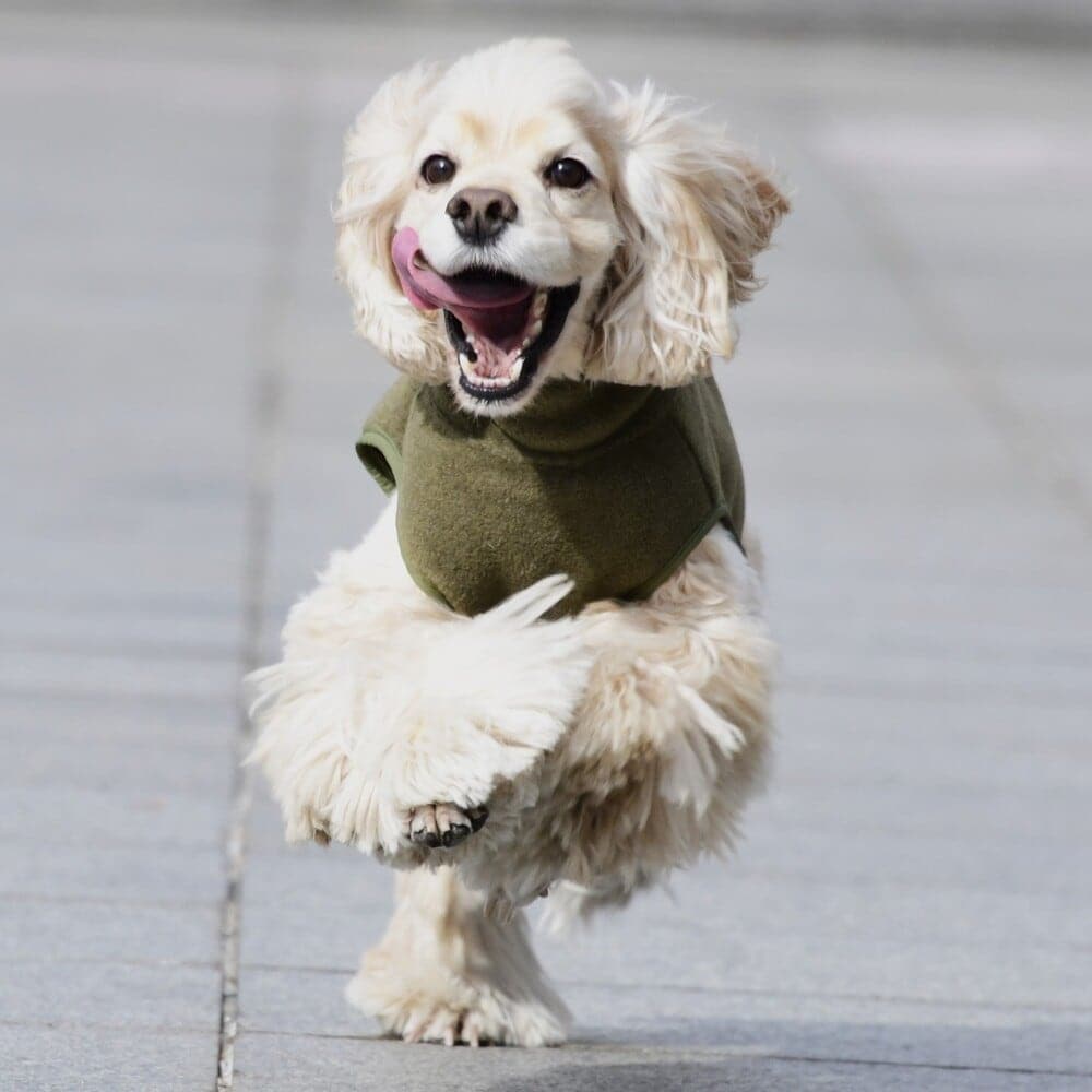 [}C]~^[ t[X xXg/}nb^ EH[L[ ^CIiMANHATTAN WALKY TIMEIj J[L