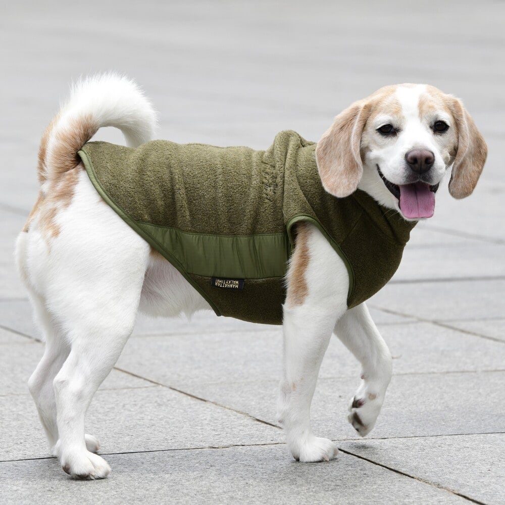 [}C]~^[ t[X xXg/}nb^ EH[L[ ^CIiMANHATTAN WALKY TIMEIj J[L