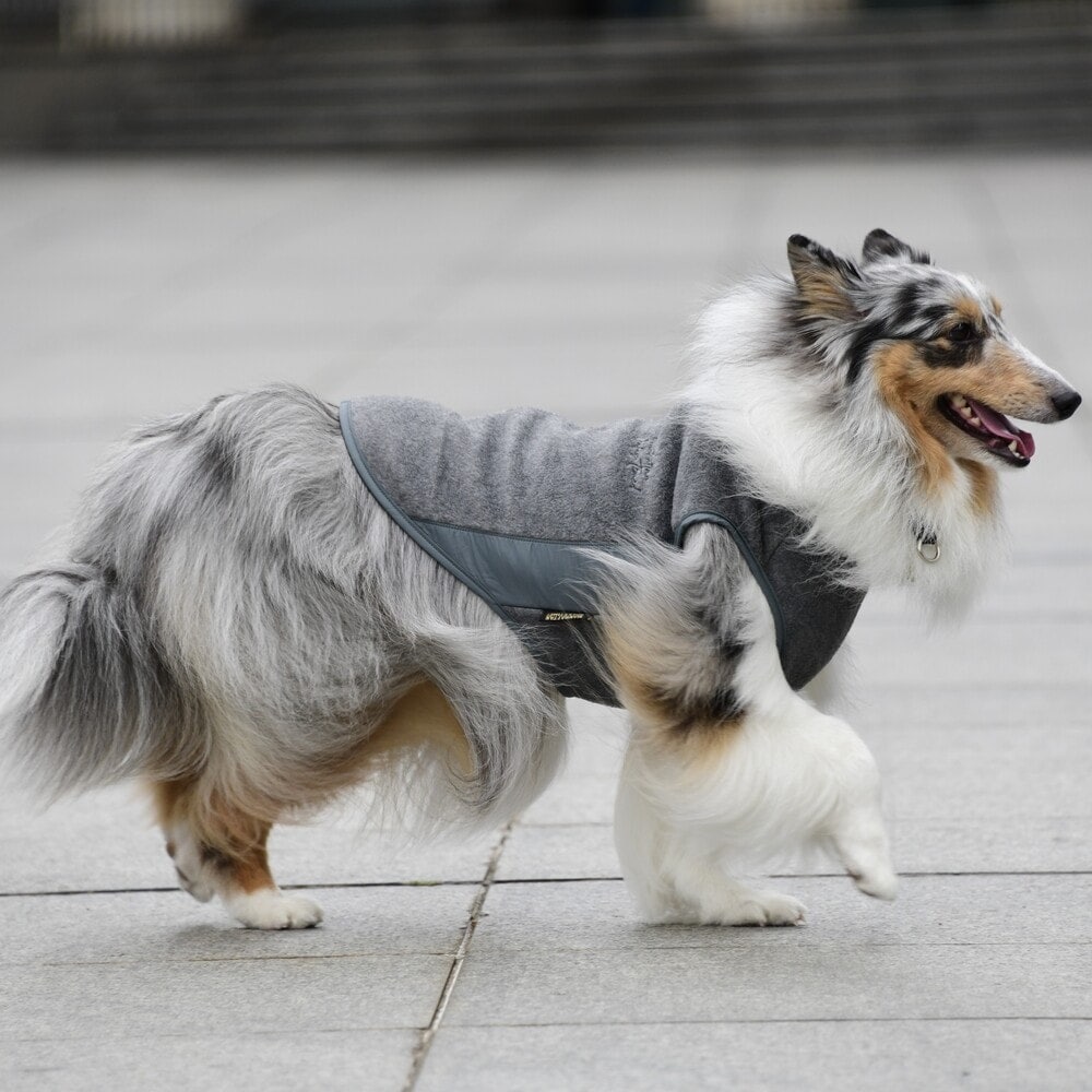 [}C]~^[ t[X xXg/}nb^ EH[L[ ^CIiMANHATTAN WALKY TIMEIj O[