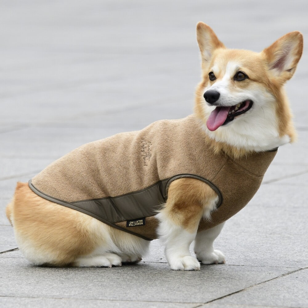 [}C]~^[ t[X xXg/}nb^ EH[L[ ^CIiMANHATTAN WALKY TIMEIj Thx[W