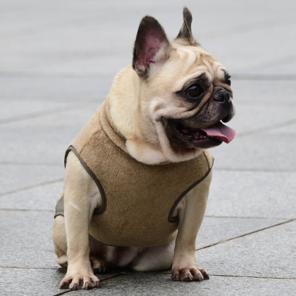 [}C]~^[ t[X xXg/}nb^ EH[L[ ^CIiMANHATTAN WALKY TIMEIj Thx[W