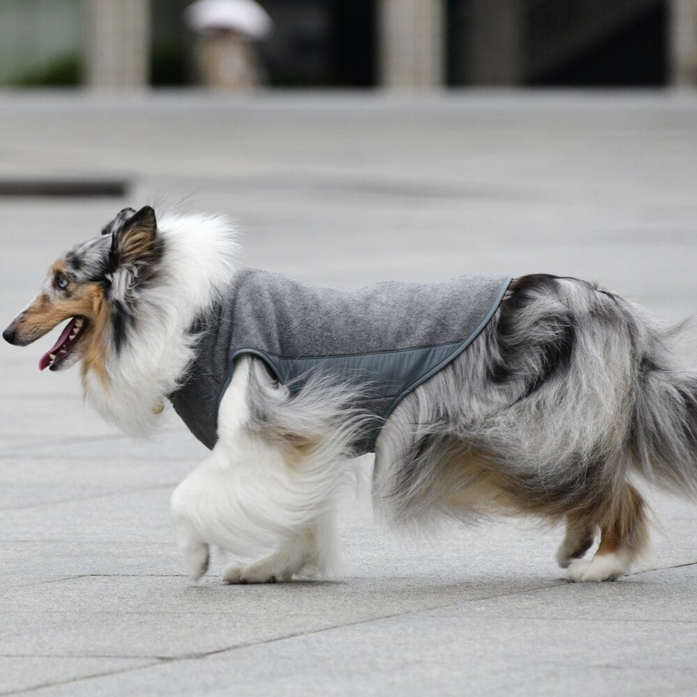 [}C]~^[ t[X xXg/}nb^ EH[L[ ^CIiMANHATTAN WALKY TIMEIj O[