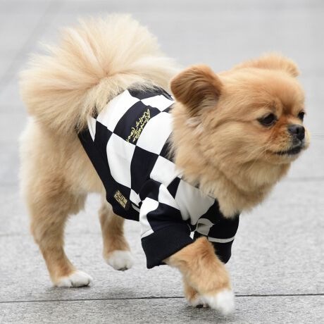 [^:LFW239-4300]cbƂ̂鐶ngp̃gbJ[WPbgłB킹₷J[LƃoCN`FbJ[̂QFWJłB΋Cɋ߂ÂAɂȂꏊɕۊǂȂŉB@E@͔AK􂢁ERĉB܂gpĐ􂤍ۂɂ͒܂gpAY܂̎gp͔ĉBFF肷鋰ꂪ܂̂ő̕ƈꏏɐ킸AKPi􂢂ĉBԐɐZĂƐF鋰ꂪ܂B^u[͏kދꂪ܂̂łBvgE}[N̂ݐ􂢂ƃAC͂BgppxɂjAiꍇ܂Bjꂽۂɂ́ǍɂȂ܂̂ŁAɎgp𒆎~ĉBݍ񂾏ꍇɂ͂ɎoAbtɂkB