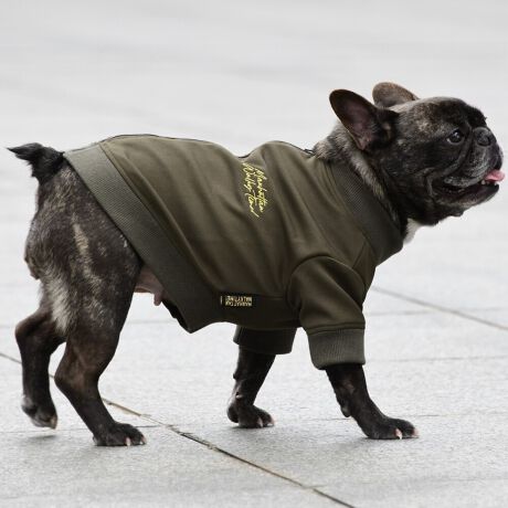 [^:LFW239-4900BM]cbƂ̂鐶ngp̃gbJ[WPbgłB킹₷J[LƃoCN`FbJ[̂QFWJłB΋Cɋ߂ÂAɂȂꏊɕۊǂȂŉB@E@͔AK􂢁ERĉB܂gpĐ􂤍ۂɂ͒܂gpAY܂̎gp͔ĉBFF肷鋰ꂪ܂̂ő̕ƈꏏɐ킸AKPi􂢂ĉBԐɐZĂƐF鋰ꂪ܂B^u[͏kދꂪ܂̂łBvgE}[N̂ݐ􂢂ƃAC͂BgppxɂjAiꍇ܂Bjꂽۂɂ́ǍɂȂ܂̂ŁAɎgp𒆎~ĉBݍ񂾏ꍇɂ͂ɎoAbtɂkB