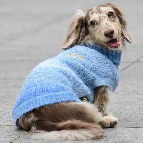 [^:LFW240-3200]ǔzFȃOf[V̂Of[VjbgłBbNlbNȂ̂ŒgǂȌɂ܂B΋Cɋ߂ÂAɂȂꏊɕۊǂȂŉB@E@͔AK􂢁ERĉB܂gpĐ􂤍ۂɂ͒܂gpAY܂̎gp͔ĉBFF肷鋰ꂪ܂̂ő̕ƈꏏɐ킸AKPi􂢂ĉBԐɐZĂƐF鋰ꂪ܂B^u[͏kދꂪ܂̂łBvgE}[N̂ݐ􂢂ƃAC͂BgppxɂjAiꍇ܂Bjꂽۂɂ́ǍɂȂ܂̂ŁAɎgp𒆎~ĉBݍ񂾏ꍇɂ͂ɎoAbtɂkB