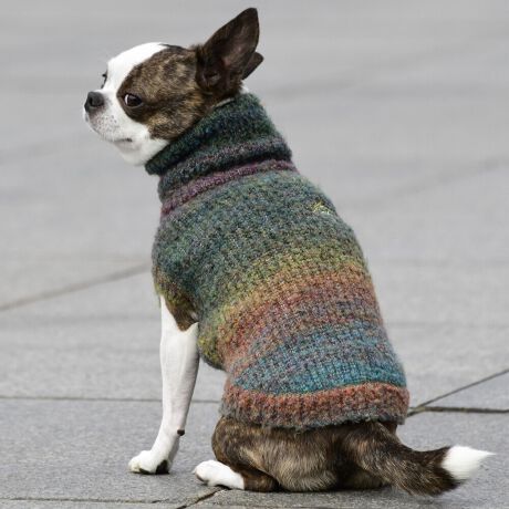 [^:LFW240-3200]ǔzFȃOf[V̂Of[VjbgłBbNlbNȂ̂ŒgǂȌɂ܂B΋Cɋ߂ÂAɂȂꏊɕۊǂȂŉB@E@͔AK􂢁ERĉB܂gpĐ􂤍ۂɂ͒܂gpAY܂̎gp͔ĉBFF肷鋰ꂪ܂̂ő̕ƈꏏɐ킸AKPi􂢂ĉBԐɐZĂƐF鋰ꂪ܂B^u[͏kދꂪ܂̂łBvgE}[N̂ݐ􂢂ƃAC͂BgppxɂjAiꍇ܂Bjꂽۂɂ́ǍɂȂ܂̂ŁAɎgp𒆎~ĉBݍ񂾏ꍇɂ͂ɎoAbtɂkB