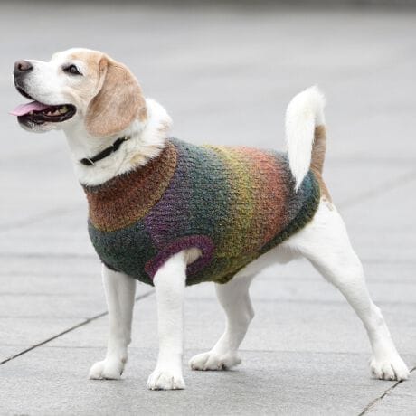 [^:LFW240-3500]ǔzFȃOf[V̂Of[VjbgłBbNlbNȂ̂ŒgǂȌɂ܂B΋Cɋ߂ÂAɂȂꏊɕۊǂȂŉB@E@͔AK􂢁ERĉB܂gpĐ􂤍ۂɂ͒܂gpAY܂̎gp͔ĉBFF肷鋰ꂪ܂̂ő̕ƈꏏɐ킸AKPi􂢂ĉBԐɐZĂƐF鋰ꂪ܂B^u[͏kދꂪ܂̂łBvgE}[N̂ݐ􂢂ƃAC͂BgppxɂjAiꍇ܂Bjꂽۂɂ́ǍɂȂ܂̂ŁAɎgp𒆎~ĉBݍ񂾏ꍇɂ͂ɎoAbtɂkB