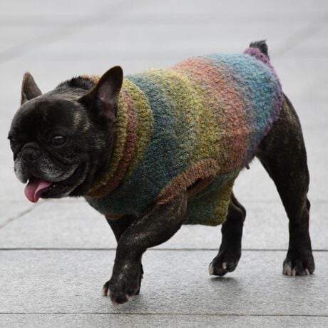 [^:LFW240-3800BM]ǔzFȃOf[V̂Of[VjbgłBbNlbNȂ̂ŒgǂȌɂ܂B΋Cɋ߂ÂAɂȂꏊɕۊǂȂŉB@E@͔AK􂢁ERĉB܂gpĐ􂤍ۂɂ͒܂gpAY܂̎gp͔ĉBFF肷鋰ꂪ܂̂ő̕ƈꏏɐ킸AKPi􂢂ĉBԐɐZĂƐF鋰ꂪ܂B^u[͏kދꂪ܂̂łBvgE}[N̂ݐ􂢂ƃAC͂BgppxɂjAiꍇ܂Bjꂽۂɂ́ǍɂȂ܂̂ŁAɎgp𒆎~ĉBݍ񂾏ꍇɂ͂ɎoAbtɂkB