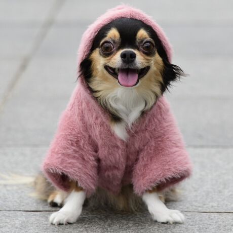 [^:LFW241-3000]ё̒VM[wAngpWbvt[fB[łBɂ߂̃TCYŒȃt[fB[łB΋Cɋ߂ÂAɂȂꏊɕۊǂȂŉB@E@͔AK􂢁ERĉB܂gpĐ􂤍ۂɂ͒܂gpAY܂̎gp͔ĉBFF肷鋰ꂪ܂̂ő̕ƈꏏɐ킸AKPi􂢂ĉBԐɐZĂƐF鋰ꂪ܂B^u[͏kދꂪ܂̂łBvgE}[N̂ݐ􂢂ƃAC͂BgppxɂjAiꍇ܂Bjꂽۂɂ́ǍɂȂ܂̂ŁAɎgp𒆎~ĉBݍ񂾏ꍇɂ͂ɎoAbtɂkB