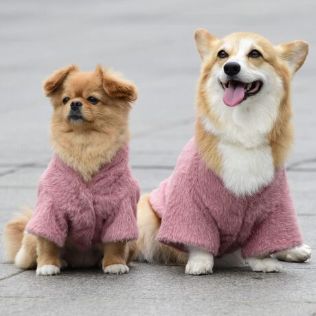 [^:LFW241-3600]ё̒VM[wAngpWbvt[fB[łBɂ߂̃TCYŒȃt[fB[łB΋Cɋ߂ÂAɂȂꏊɕۊǂȂŉB@E@͔AK􂢁ERĉB܂gpĐ􂤍ۂɂ͒܂gpAY܂̎gp͔ĉBFF肷鋰ꂪ܂̂ő̕ƈꏏɐ킸AKPi􂢂ĉBԐɐZĂƐF鋰ꂪ܂B^u[͏kދꂪ܂̂łBvgE}[N̂ݐ􂢂ƃAC͂BgppxɂjAiꍇ܂Bjꂽۂɂ́ǍɂȂ܂̂ŁAɎgp𒆎~ĉBݍ񂾏ꍇɂ͂ɎoAbtɂkB