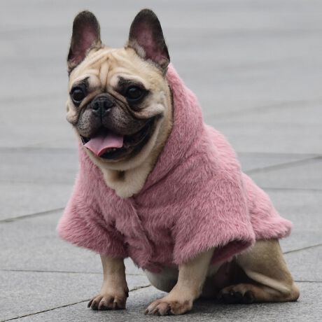 [^:LFW241-3600BM]ё̒VM[wAngpWbvt[fB[łBɂ߂̃TCYŒȃt[fB[łB΋Cɋ߂ÂAɂȂꏊɕۊǂȂŉB@E@͔AK􂢁ERĉB܂gpĐ􂤍ۂɂ͒܂gpAY܂̎gp͔ĉBFF肷鋰ꂪ܂̂ő̕ƈꏏɐ킸AKPi􂢂ĉBԐɐZĂƐF鋰ꂪ܂B^u[͏kދꂪ܂̂łBvgE}[N̂ݐ􂢂ƃAC͂BgppxɂjAiꍇ܂Bjꂽۂɂ́ǍɂȂ܂̂ŁAɎgp𒆎~ĉBݍ񂾏ꍇɂ͂ɎoAbtɂkB