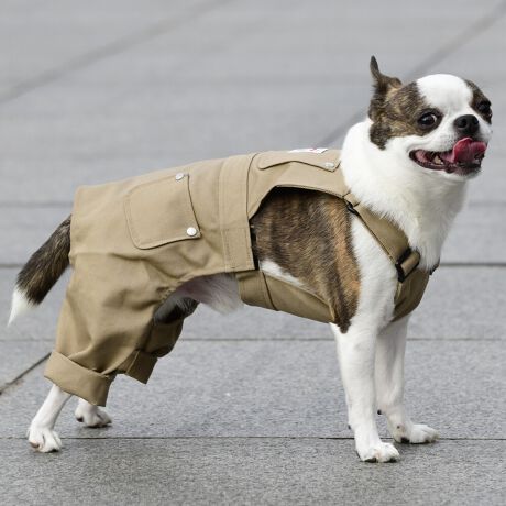 [^:LFW242-3600]wr[EFCgȃcCnŊɍꂽ[NpcłB킹₷RFJ[œWJłB΋Cɋ߂ÂAɂȂꏊɕۊǂȂŉB@E@͔AK􂢁ERĉB܂gpĐ􂤍ۂɂ͒܂gpAY܂̎gp͔ĉBFF肷鋰ꂪ܂̂ő̕ƈꏏɐ킸AKPi􂢂ĉBԐɐZĂƐF鋰ꂪ܂B^u[͏kދꂪ܂̂łBvgE}[N̂ݐ􂢂ƃAC͂BgppxɂjAiꍇ܂Bjꂽۂɂ́ǍɂȂ܂̂ŁAɎgp𒆎~ĉBݍ񂾏ꍇɂ͂ɎoAbtɂkB