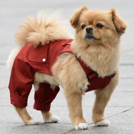 [^:LFW242-4200]wr[EFCgȃcCnŊɍꂽ[NpcłB킹₷RFJ[œWJłB΋Cɋ߂ÂAɂȂꏊɕۊǂȂŉB@E@͔AK􂢁ERĉB܂gpĐ􂤍ۂɂ͒܂gpAY܂̎gp͔ĉBFF肷鋰ꂪ܂̂ő̕ƈꏏɐ킸AKPi􂢂ĉBԐɐZĂƐF鋰ꂪ܂B^u[͏kދꂪ܂̂łBvgE}[N̂ݐ􂢂ƃAC͂BgppxɂjAiꍇ܂Bjꂽۂɂ́ǍɂȂ܂̂ŁAɎgp𒆎~ĉBݍ񂾏ꍇɂ͂ɎoAbtɂkB