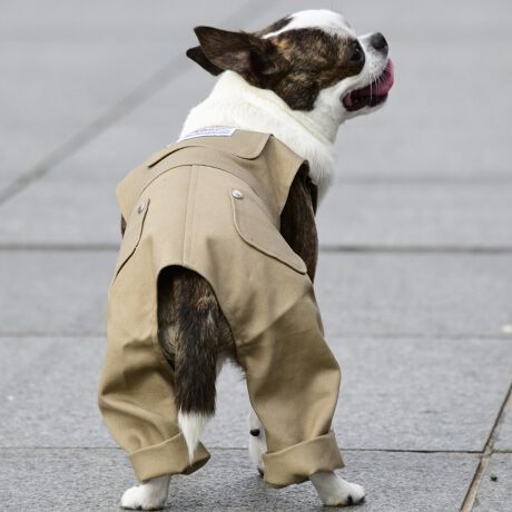 [^:LFW242-4800]wr[EFCgȃcCnŊɍꂽ[NpcłB킹₷RFJ[œWJłB΋Cɋ߂ÂAɂȂꏊɕۊǂȂŉB@E@͔AK􂢁ERĉB܂gpĐ􂤍ۂɂ͒܂gpAY܂̎gp͔ĉBFF肷鋰ꂪ܂̂ő̕ƈꏏɐ킸AKPi􂢂ĉBԐɐZĂƐF鋰ꂪ܂B^u[͏kދꂪ܂̂łBvgE}[N̂ݐ􂢂ƃAC͂BgppxɂjAiꍇ܂Bjꂽۂɂ́ǍɂȂ܂̂ŁAɎgp𒆎~ĉBݍ񂾏ꍇɂ͂ɎoAbtɂkB