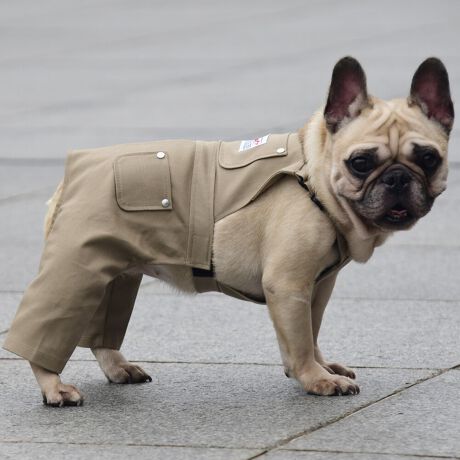 [^:LFW242-4500BM]wr[EFCgȃcCnŊɍꂽ[NpcłB킹₷RFJ[œWJłB΋Cɋ߂ÂAɂȂꏊɕۊǂȂŉB@E@͔AK􂢁ERĉB܂gpĐ􂤍ۂɂ͒܂gpAY܂̎gp͔ĉBFF肷鋰ꂪ܂̂ő̕ƈꏏɐ킸AKPi􂢂ĉBԐɐZĂƐF鋰ꂪ܂B^u[͏kދꂪ܂̂łBvgE}[N̂ݐ􂢂ƃAC͂BgppxɂjAiꍇ܂Bjꂽۂɂ́ǍɂȂ܂̂ŁAɎgp𒆎~ĉBݍ񂾏ꍇɂ͂ɎoAbtɂkB