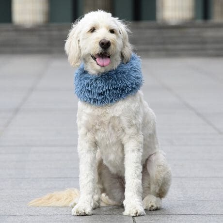 [^:LFW402-1280]͂ꖇŒgAڂVM[ngplbNEH[}[łBQTCŶŌ킸g܂B΋Cɋ߂ÂAɂȂꏊɕۊǂȂŉB@E@͔AK􂢁ERĉB܂gpĐ􂤍ۂɂ͒܂gpAY܂̎gp͔ĉBFF肷鋰ꂪ܂̂ő̕ƈꏏɐ킸AKPi􂢂ĉBԐɐZĂƐF鋰ꂪ܂B^u[͏kދꂪ܂̂łBvgE}[N̂ݐ􂢂ƃAC͂BgppxɂjAiꍇ܂Bjꂽۂɂ́ǍɂȂ܂̂ŁAɎgp𒆎~ĉBݍ񂾏ꍇɂ͂ɎoAbtɂkB