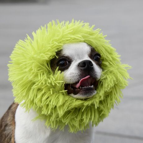 [^:LFW402-1280]͂ꖇŒgAڂVM[ngplbNEH[}[łBQTCŶŌ킸g܂B΋Cɋ߂ÂAɂȂꏊɕۊǂȂŉB@E@͔AK􂢁ERĉB܂gpĐ􂤍ۂɂ͒܂gpAY܂̎gp͔ĉBFF肷鋰ꂪ܂̂ő̕ƈꏏɐ킸AKPi􂢂ĉBԐɐZĂƐF鋰ꂪ܂B^u[͏kދꂪ܂̂łBvgE}[N̂ݐ􂢂ƃAC͂BgppxɂjAiꍇ܂Bjꂽۂɂ́ǍɂȂ܂̂ŁAɎgp𒆎~ĉBݍ񂾏ꍇɂ͂ɎoAbtɂkB