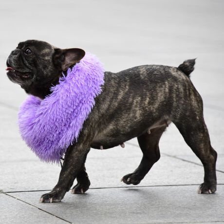 [^:LFW402-1580]͂ꖇŒgAڂVM[ngplbNEH[}[łBQTCŶŌ킸g܂B΋Cɋ߂ÂAɂȂꏊɕۊǂȂŉB@E@͔AK􂢁ERĉB܂gpĐ􂤍ۂɂ͒܂gpAY܂̎gp͔ĉBFF肷鋰ꂪ܂̂ő̕ƈꏏɐ킸AKPi􂢂ĉBԐɐZĂƐF鋰ꂪ܂B^u[͏kދꂪ܂̂łBvgE}[N̂ݐ􂢂ƃAC͂BgppxɂjAiꍇ܂Bjꂽۂɂ́ǍɂȂ܂̂ŁAɎgp𒆎~ĉBݍ񂾏ꍇɂ͂ɎoAbtɂkB