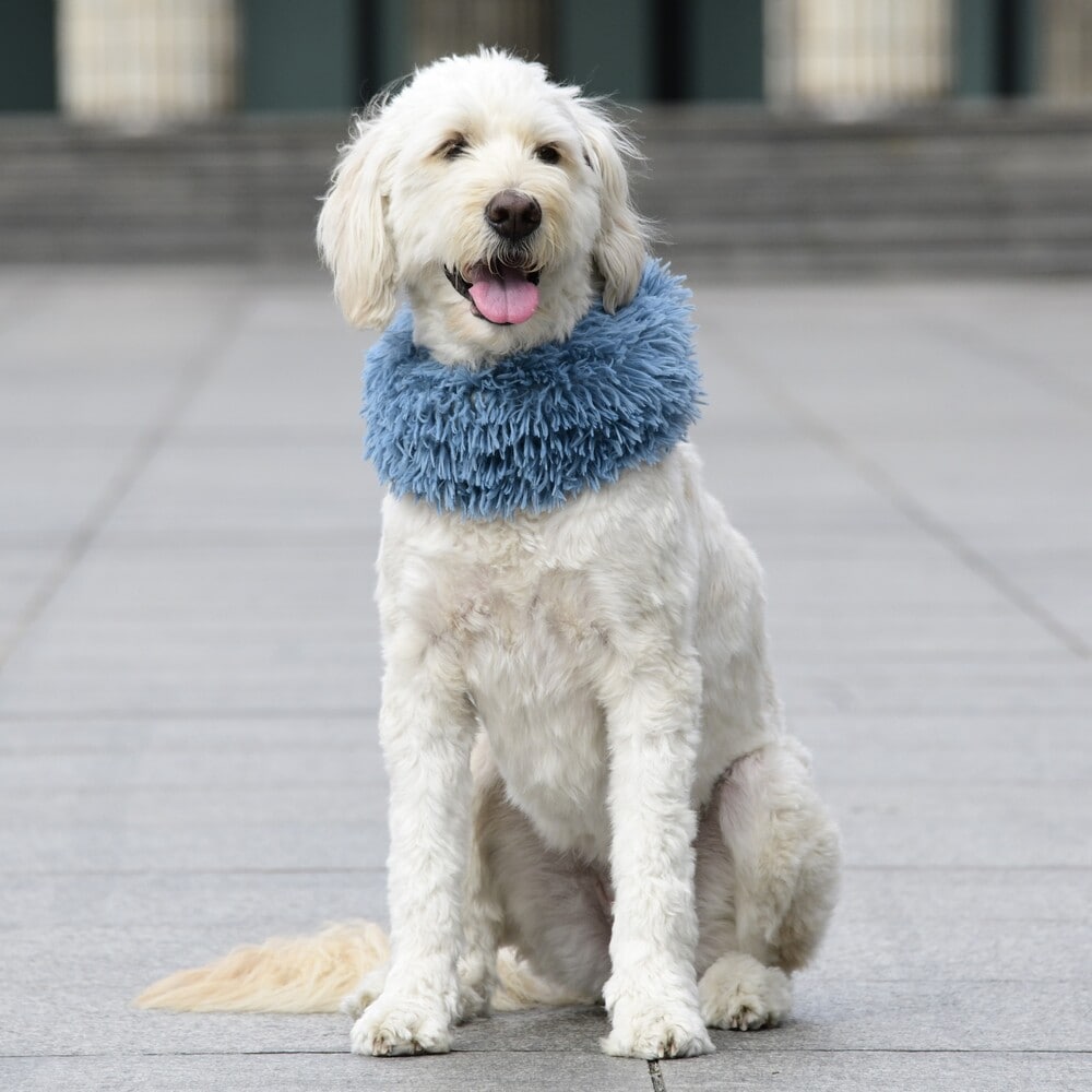 [}C]VM[lbNEH[}[/}nb^ EH[L[ ^CIiMANHATTAN WALKY TIMEIj u[