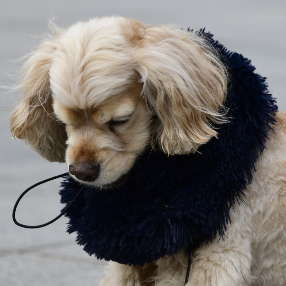 [}C]VM[lbNEH[}[/}nb^ EH[L[ ^CIiMANHATTAN WALKY TIMEIj ubN