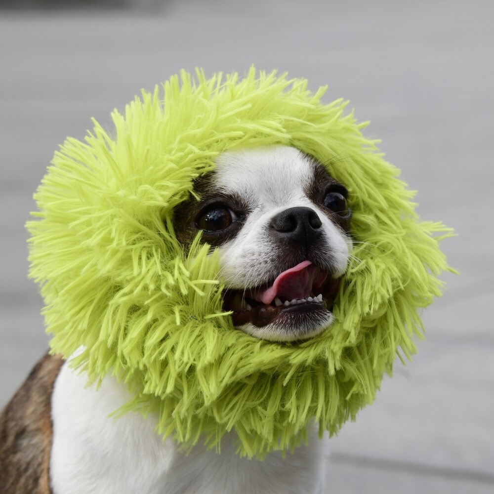 [}C]VM[lbNEH[}[/}nb^ EH[L[ ^CIiMANHATTAN WALKY TIMEIj O[