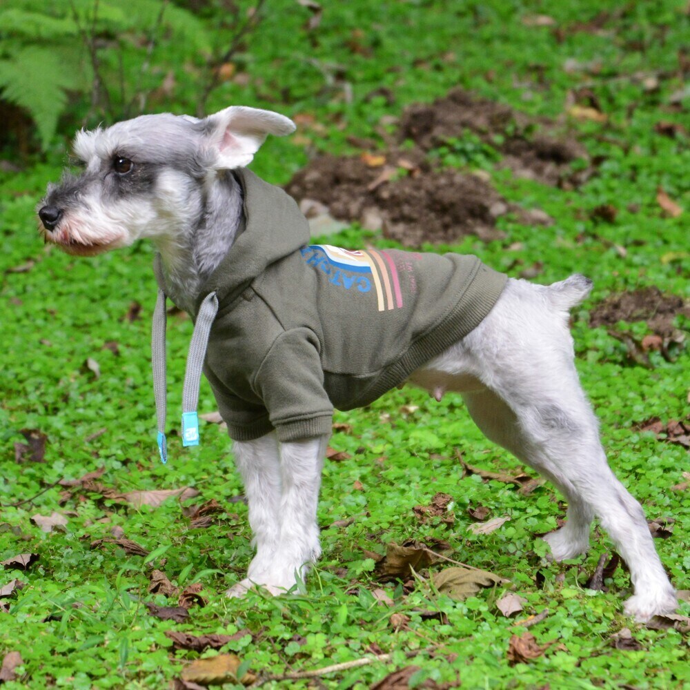 [}C]HORIZON HOODIE/WEH[NiGEWALKj J[L