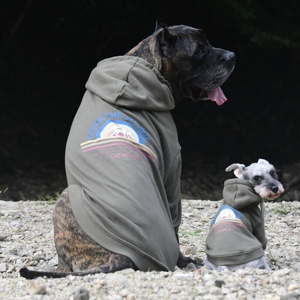 [}C]HORIZON HOODIE/WEH[NiGEWALKj J[L