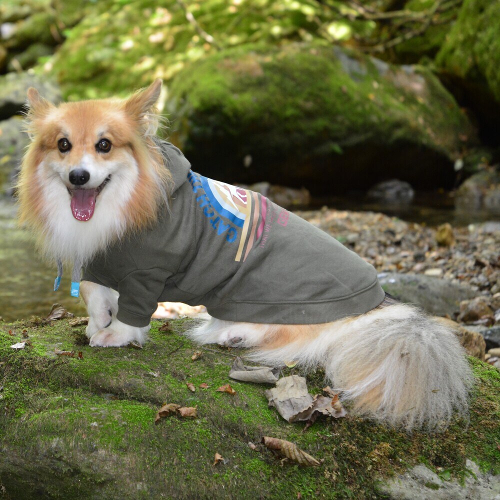 [}C]HORIZON HOODIE/WEH[NiGEWALKj J[L